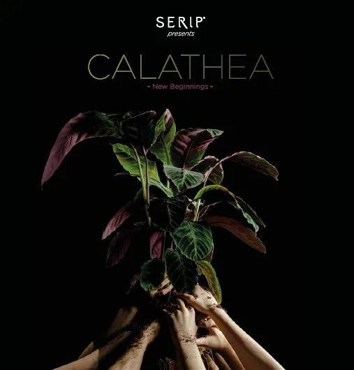 Coperta catalogului Serip - Calathea New Beginnings